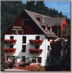 Landhotel Osterlamm Beierfeld エクステリア 写真